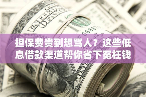 济南担保费贵到想骂人？这些低息借款渠道帮你省下冤枉钱