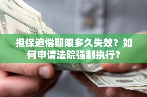 济南担保追偿期限多久失效？如何申请法院强制执行？