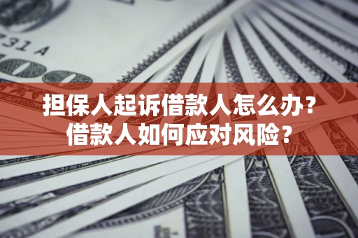 济南担保人起诉借款人怎么办？借款人如何应对风险？
