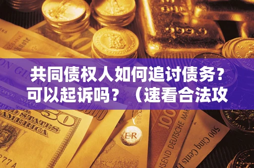 济南共同债权人如何追讨债务？可以起诉吗？（速看合法攻略）