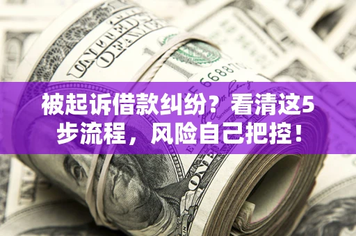 济南被起诉借款纠纷？看清这5步流程，风险自己把控！