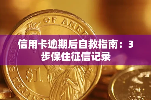 济南信用卡逾期后自救指南：3步保住征信记录